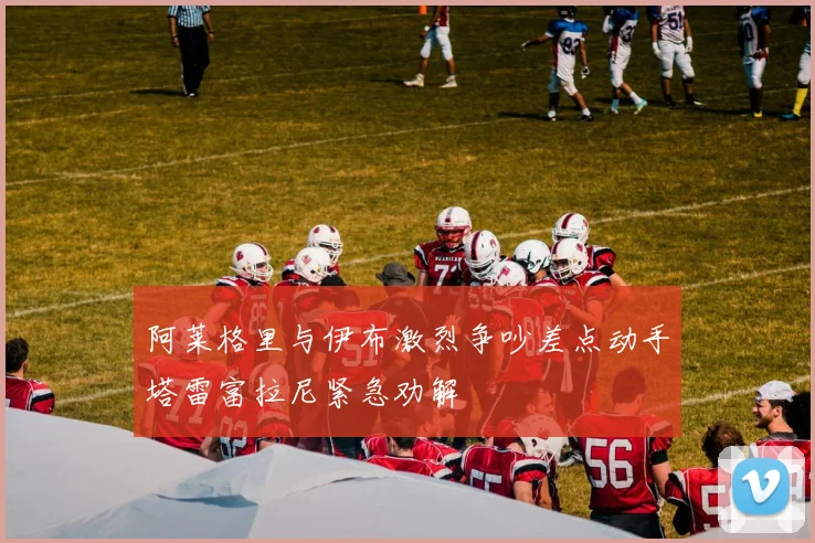 阿莱格里与伊布激烈争吵差点动手塔雷富拉尼紧急劝解