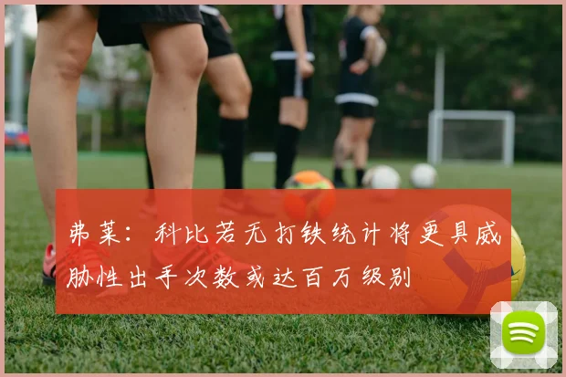 弗莱：科比若无打铁统计将更具威胁性出手次数或达百万级别